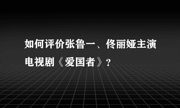 如何评价张鲁一、佟丽娅主演电视剧《爱国者》？