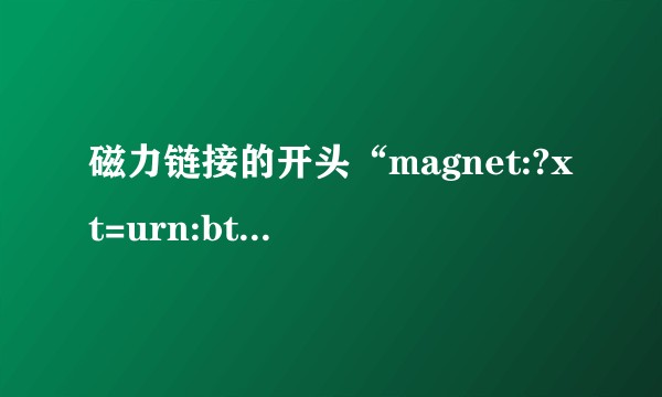 磁力链接的开头“magnet:?xt=urn:btih:”是什么含义？