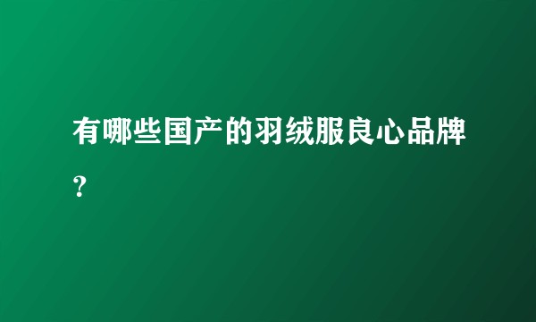 有哪些国产的羽绒服良心品牌？