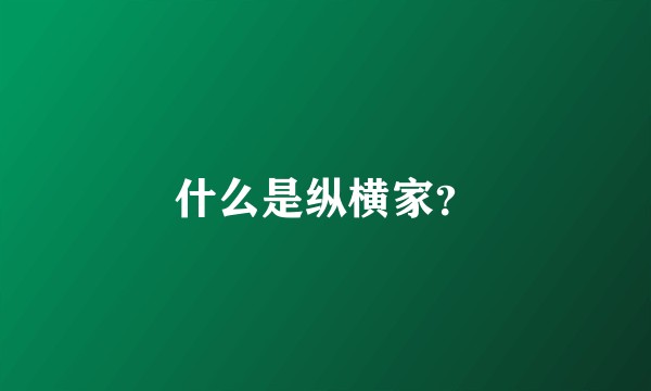 什么是纵横家?
