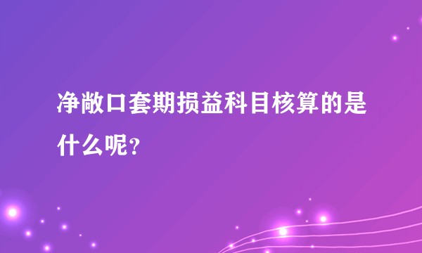净敞口套期损益科目核算的是什么呢？