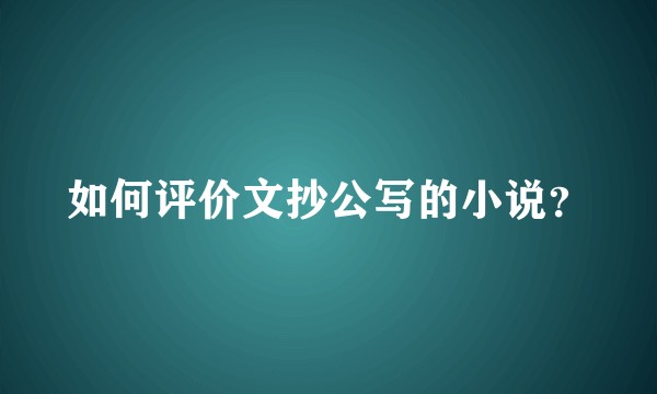 如何评价文抄公写的小说？