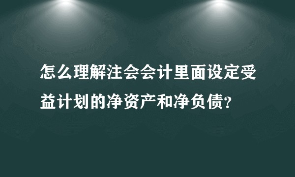 怎么理解注会会计里面设定受益计划的净资产和净负债?