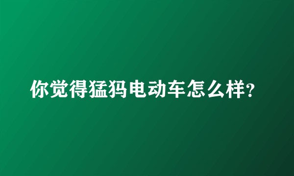 你觉得猛犸电动车怎么样？