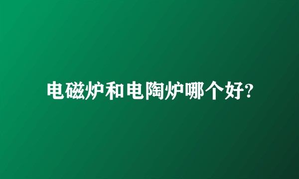 电磁炉和电陶炉哪个好?