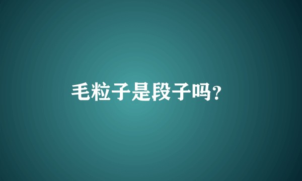 毛粒子是段子吗？